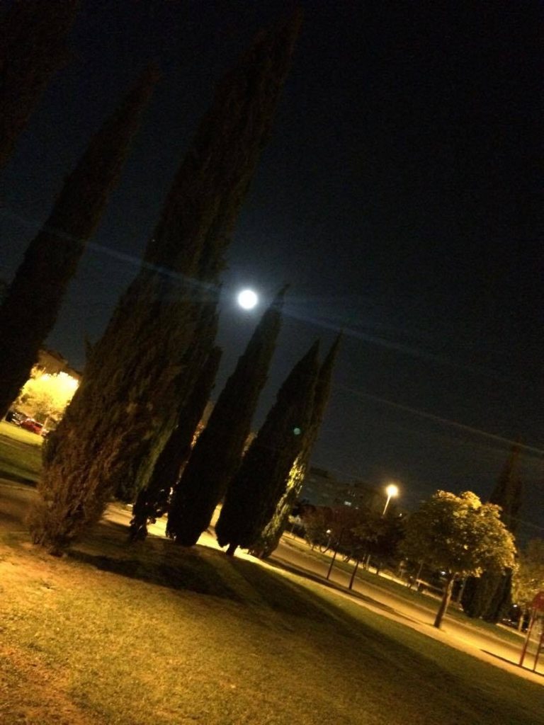 alejandro-lopez-alcorcon-parque-mayari