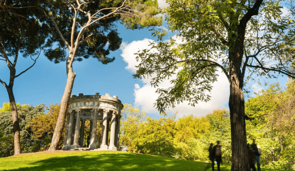 Otros parques de Madrid donde respirar aire puro