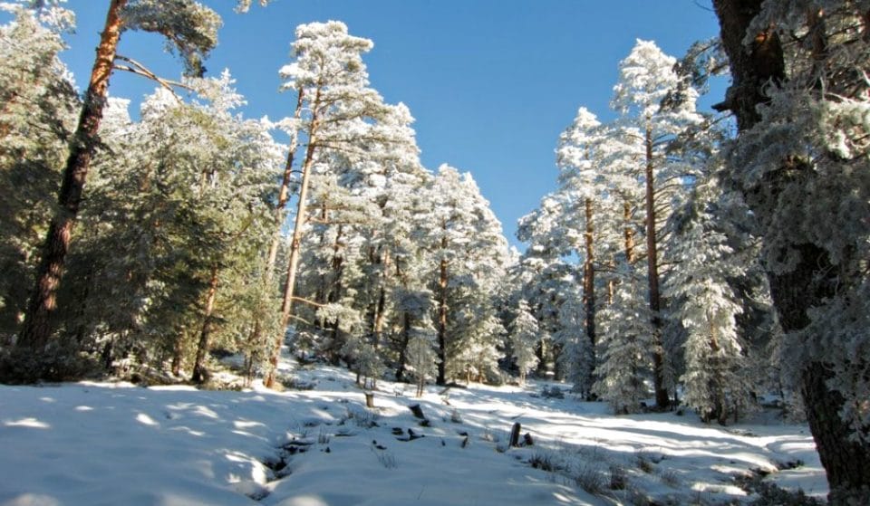 10 postales que ha dejado la nieve en la sierra de Madrid