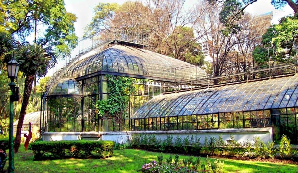 El Jardín Botánico de Madrid en todo su esplendor: un paseo por sus interiores