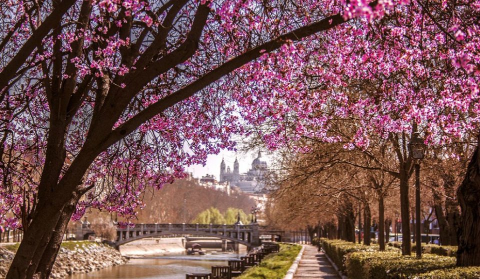 Primavera de la A a la Z en Madrid