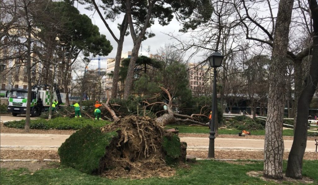 El Retiro reabre hoy tras quince días cerrado