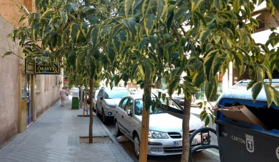 Chamberí será un distrito más verde en 2019