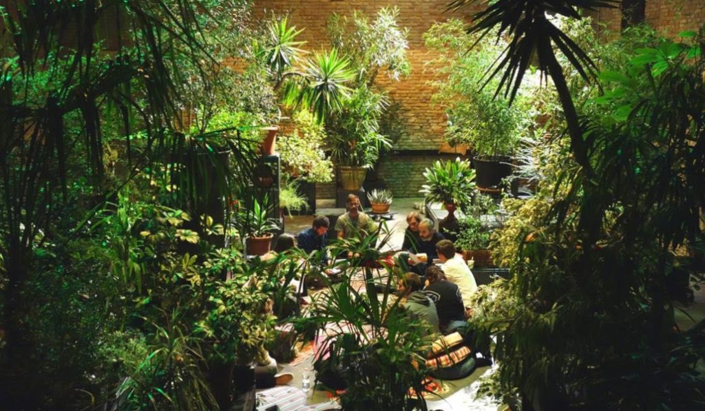 Trae una planta a Conde Duque y entra gratis a sus actividades culturales