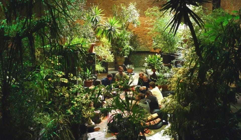 Trae una planta a Conde Duque y entra gratis a sus actividades culturales