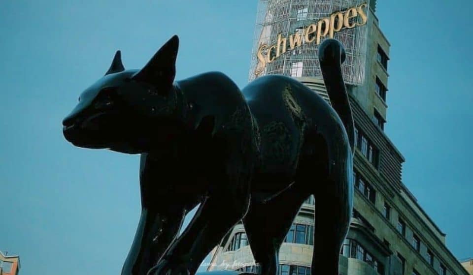 Un gato negro de tres metros ha aparecido en Callao por sorpresa