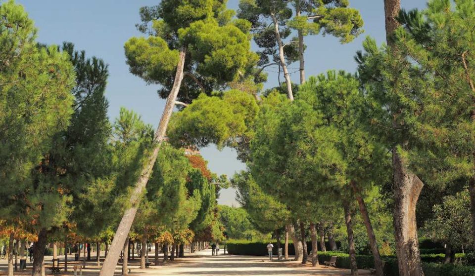 Madrid es la tercera ciudad más verde de España