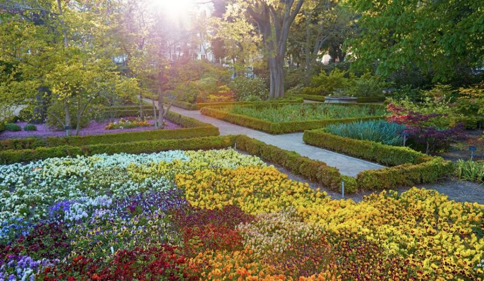 Un otoño de cine gratis en el Jardín Botánico de Madrid