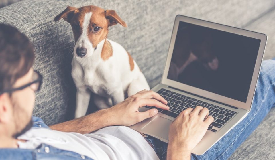 10 reglas de oro para trabajar desde casa sin sucumbir a la locura