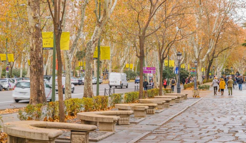 Un kilómetro a la redonda: dime dónde vives y te diré por dónde pasear