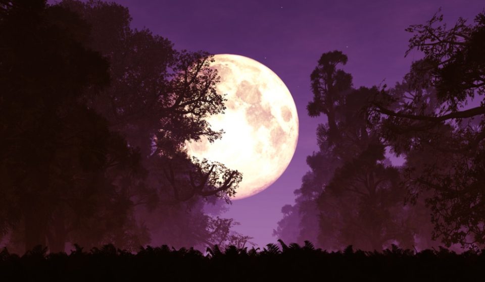Por qué la superluna rosa de ayer fue súper pero no tan rosa