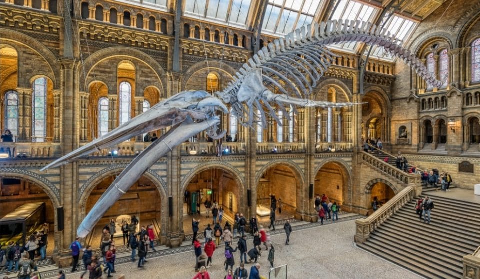 Aquí tienes los mejores 25 museos virtuales de todo el mundo