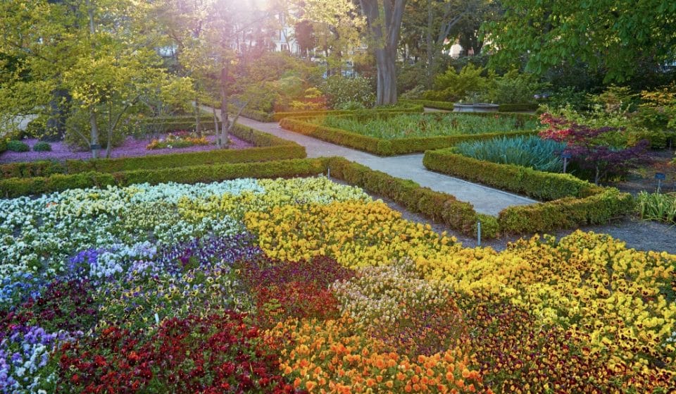 Los paseos musicales llenarán de conciertos el Jardín Botánico en septiembre