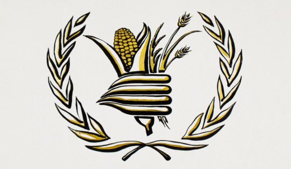 El Programa Mundial de Alimentos gana el Premio Nobel de la Paz 2020