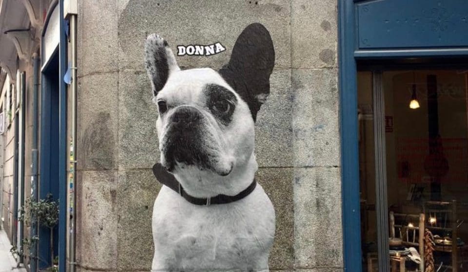 Las paredes de Malasaña, empapeladas con perros gigantes