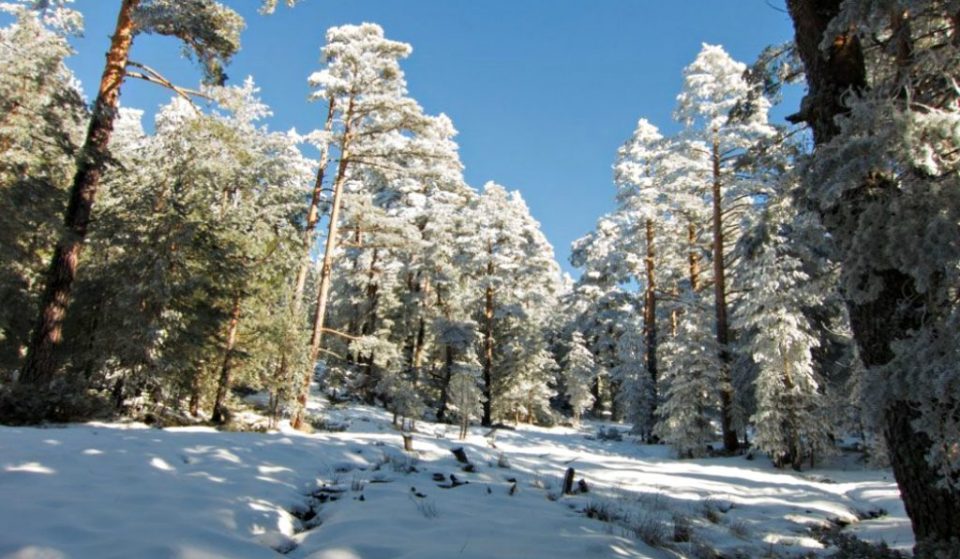 Alerta de nieve para Nochevieja y Año Nuevo