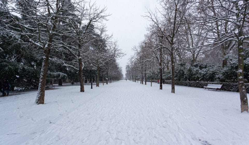 Filomena daña el 65% de los árboles del Parque del Retiro