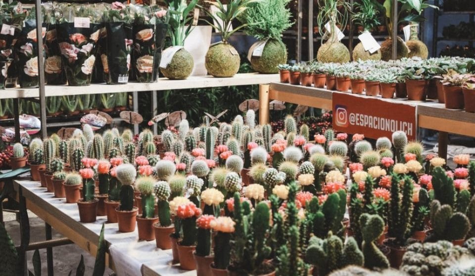 Un jardín efímero abrirá en la Latina durante solo un finde