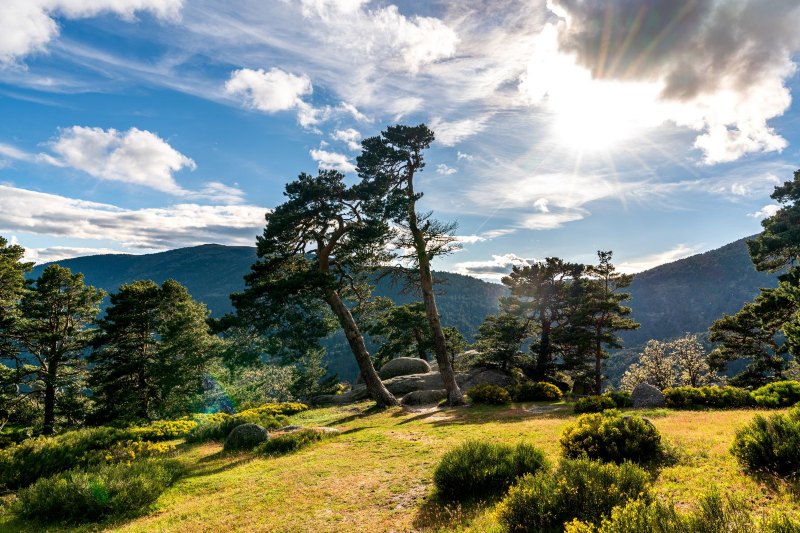 Nature Near Madrid At Elaine Osborn Blog
