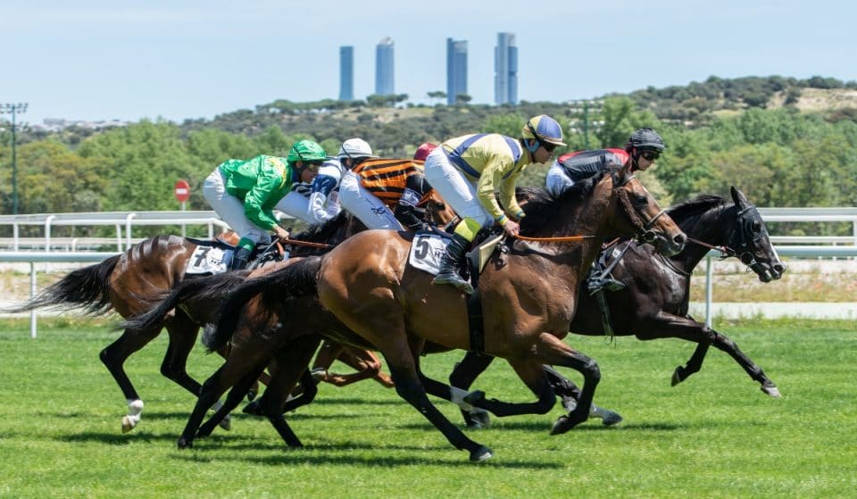 El Hipódromo de la Zarzuela tendrá un festival de música este verano