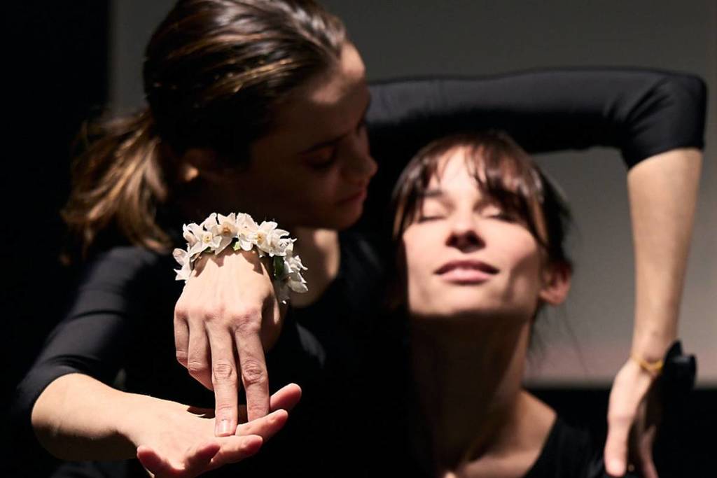 'Gritos, boda y sangre'