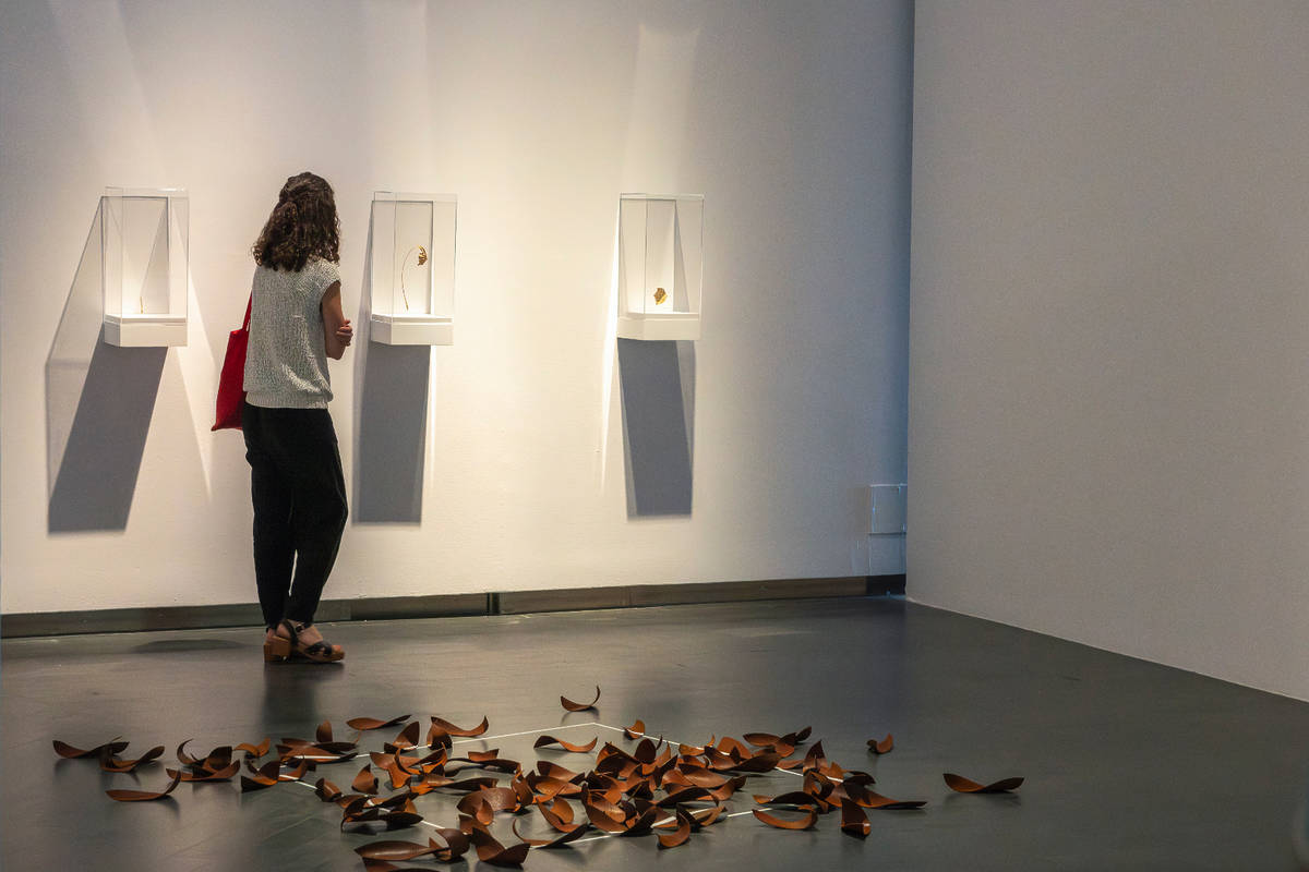 exposiciones