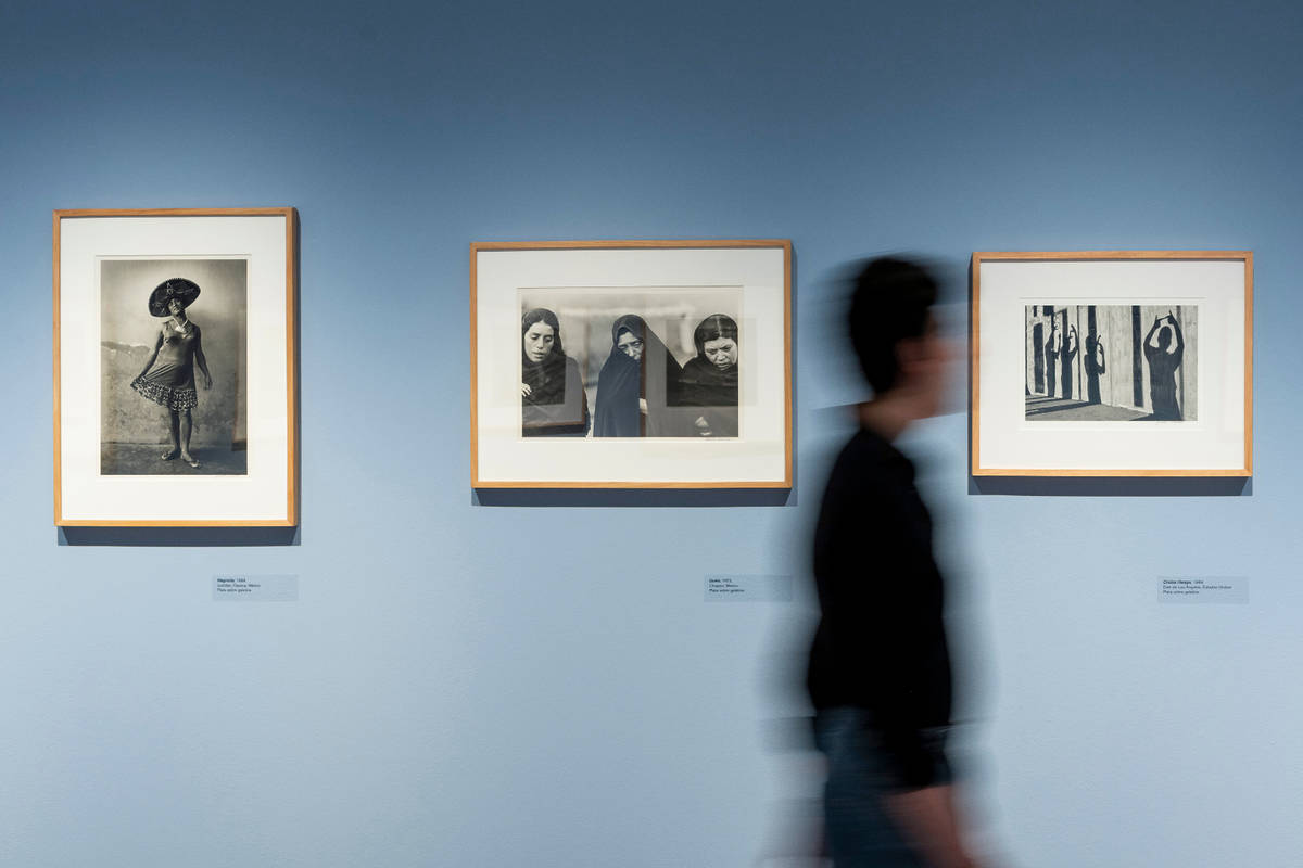exposiciones