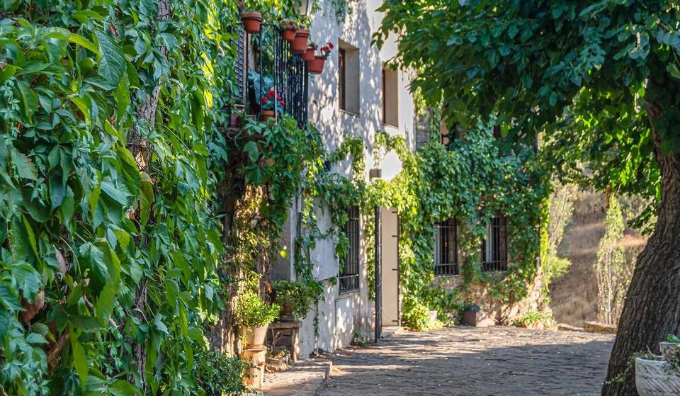 Patones de Arriba: cómo llegar y qué hacer en el que posiblemente sea el pueblo más bonito de Madrid
