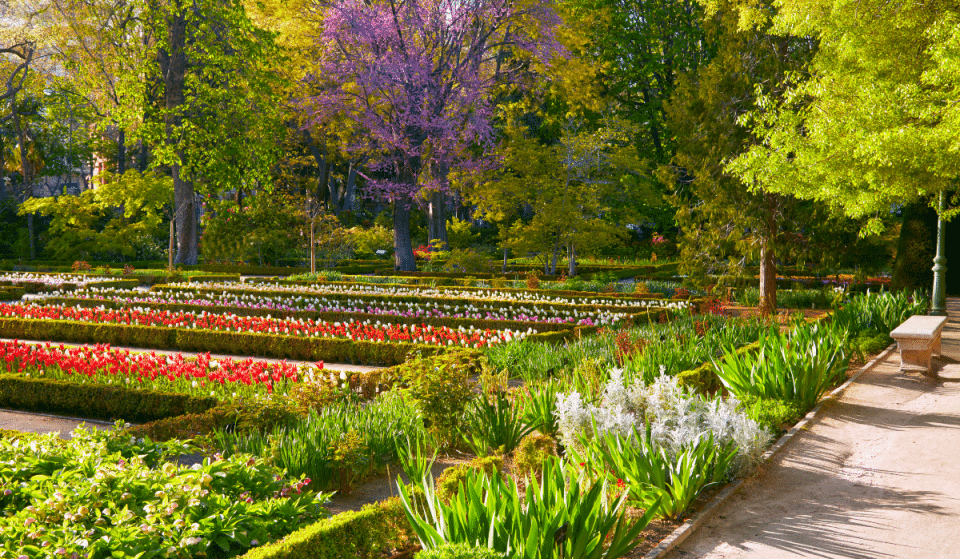 Un ciclo de conciertos lleva la música al Real Jardín Botánico durante un mes
