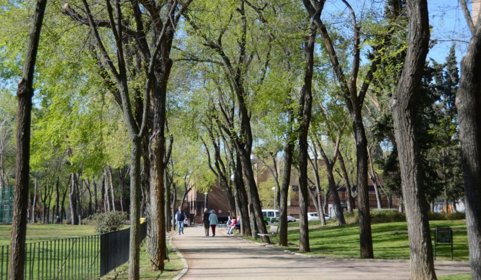 La ONU reconoce el arbolado urbano de Madrid por tercer año consecutivo