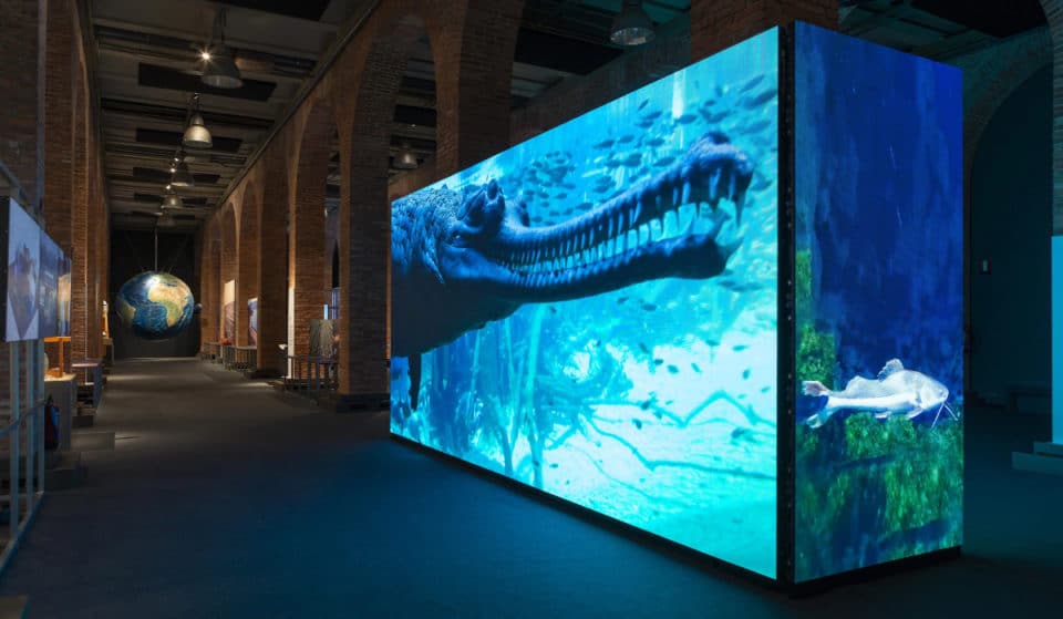 Una exposición en la Fundación Canal nos sumerge en la sustancia que nos da la vida