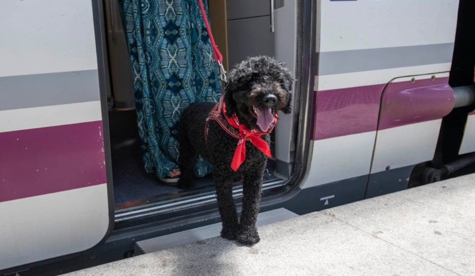 Renfe permitirá viajar con perros de hasta 40 kilos entre Valencia y Madrid