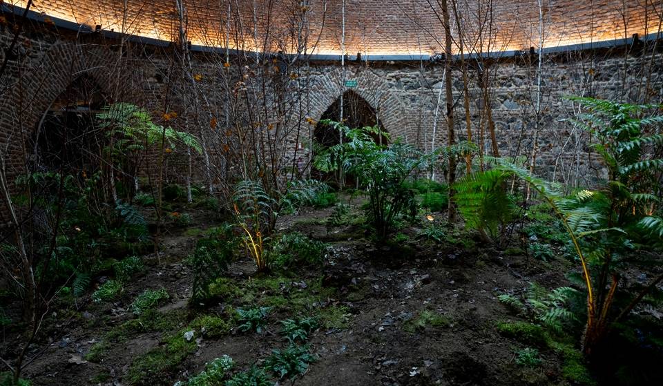 La Montaña de los Gatos tiene desde hoy un bosque con música y un cordero escondido