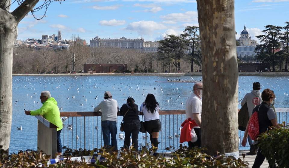 A writer falls in love with Madrid and tells the city’s best-kept secrets