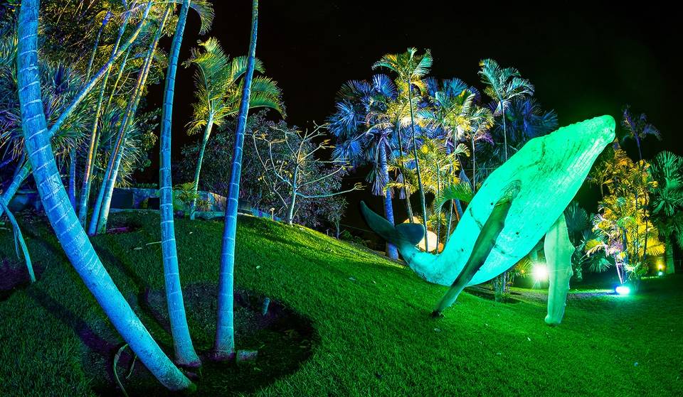 A giant luminous whale and other creatures to be installed in Madrid this Christmas