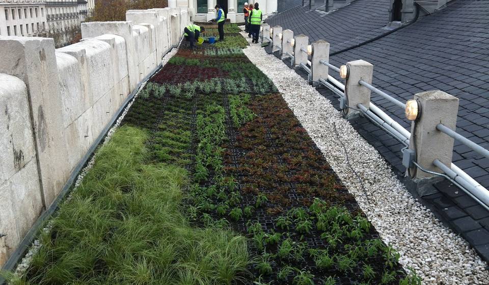 Jardines en los tejados de Madrid: la nueva medida para evitar las islas de calor