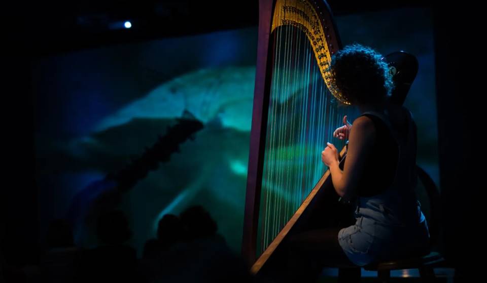 Un omaggio a Gloria Fuertes, spettacoli di marionette e molto altro ancora in questo festival di arti performative.
