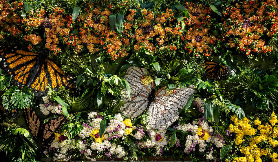 Una facciata di Madrid si ricopre di oltre 10.000 fiori naturali per celebrare la primavera