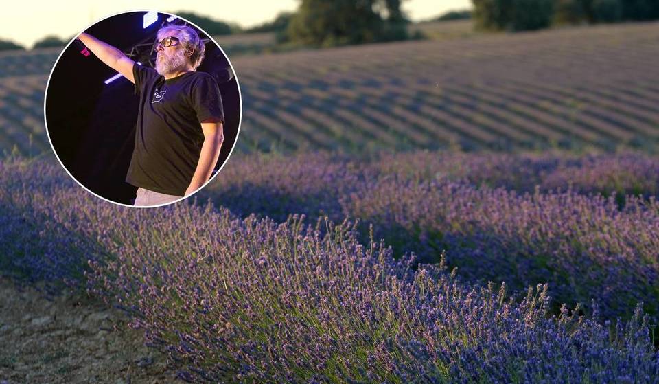 Vuelve el Festival de la Lavanda a 1 hora de Madrid y ya se pueden comprar las entradas