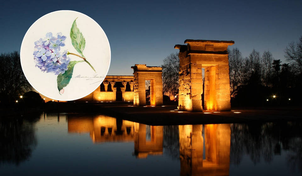 Noche de los Museos en Madrid 2025: qué museos abren gratis, actividades y más