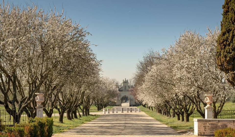 The secret garden of the eighteenth century 20 minutes from Madrid: a baroque jewel that you can visit free of charge