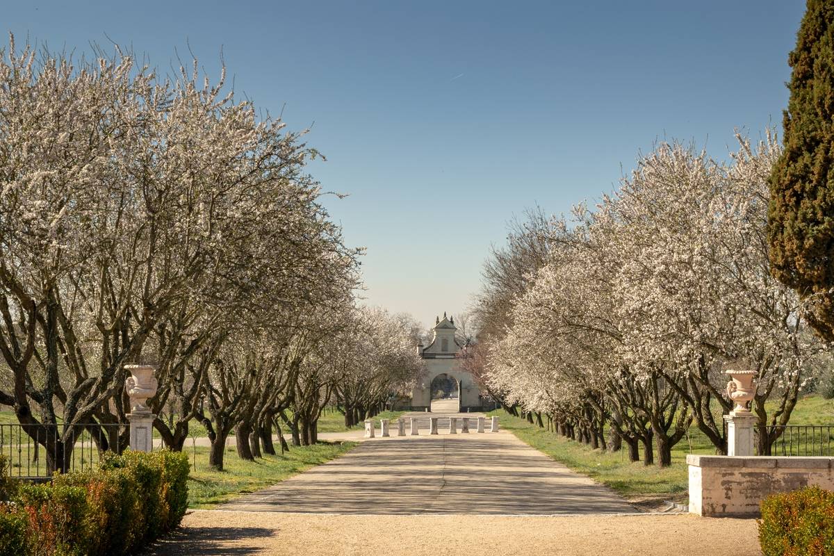 Der geheime Garten aus dem 18. Jahrhundert 20 Minuten von Madrid
