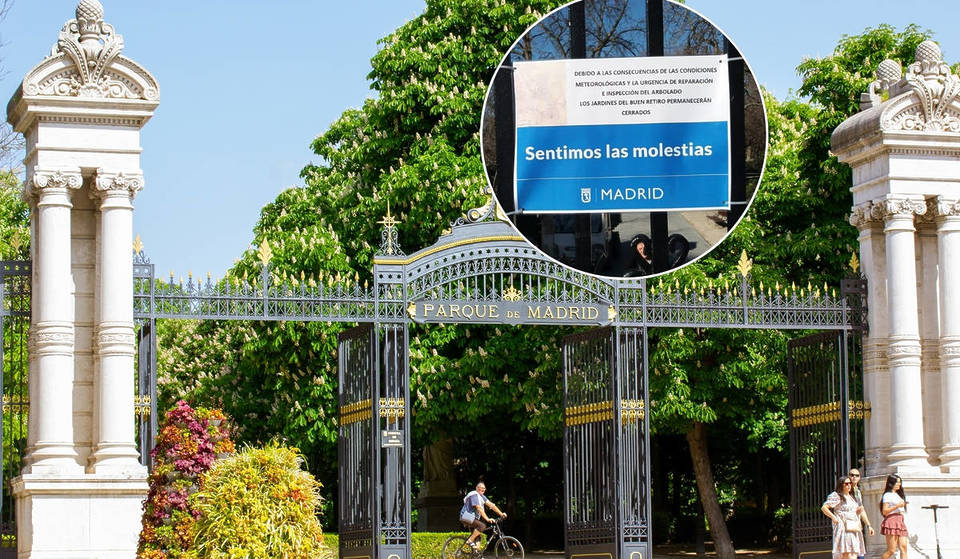 The reason why El Retiro closes when it&#8217;s hot: they want to avoid this risk with trees