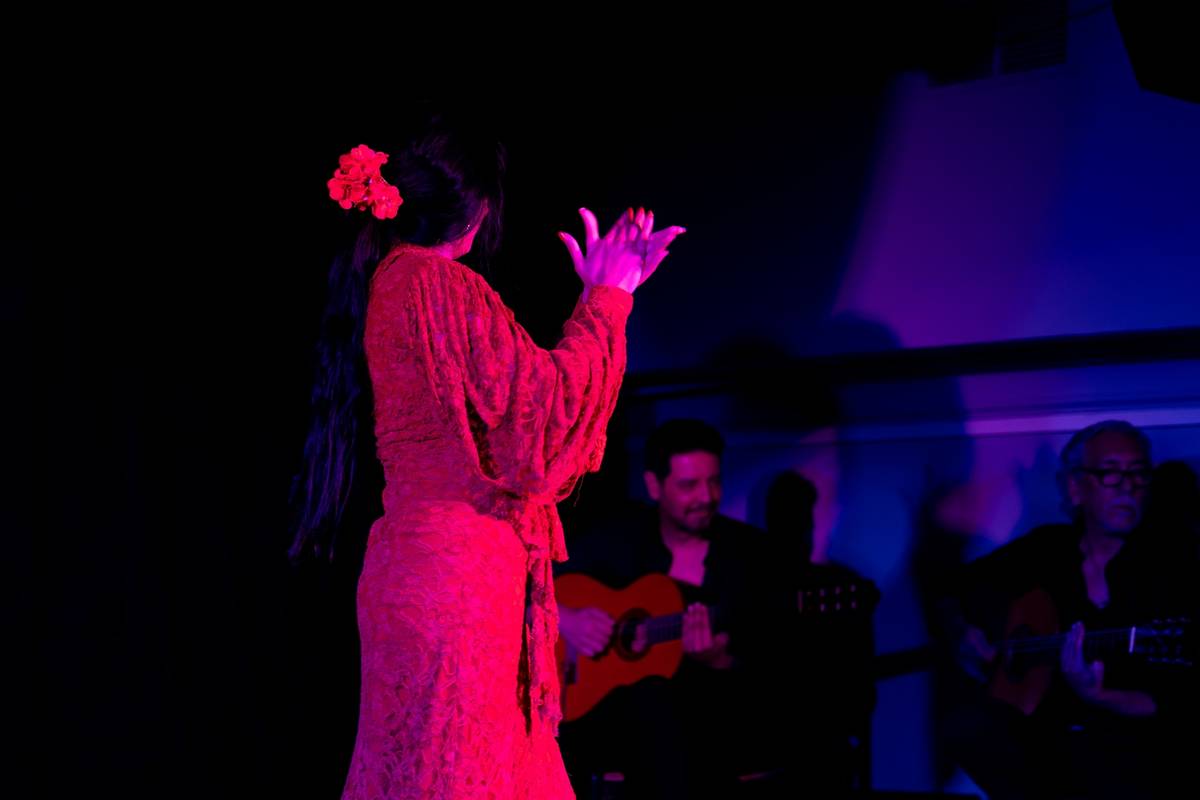 Café Flamenco & Goya Live Art