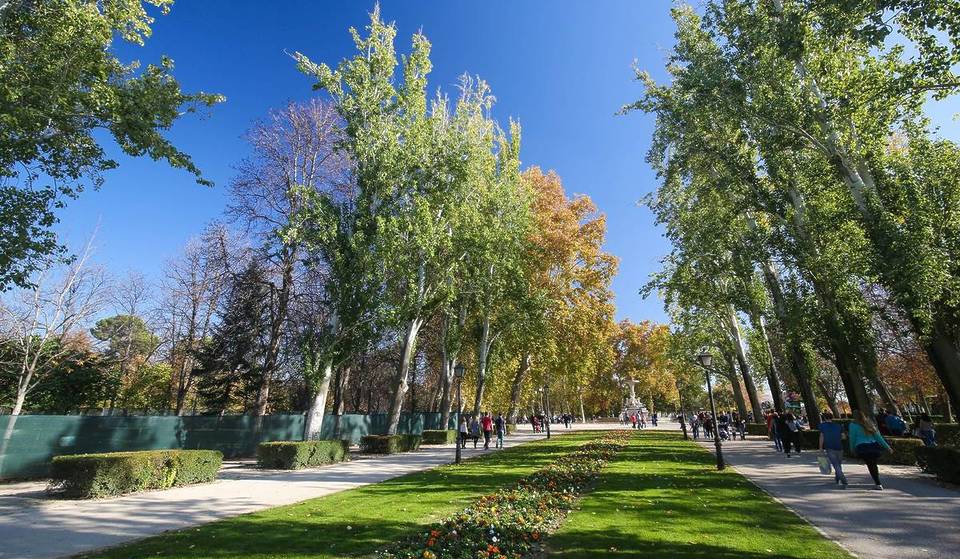 Die Madrider Stadtverwaltung rechtfertigt die Schließung der Parks mit der Hitze, weil die meisten Äste in wenigen Tagen fallen.
