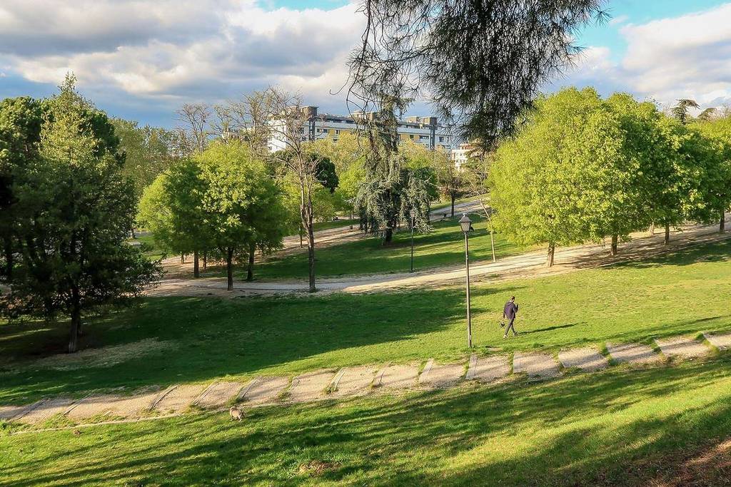 Madrid will have a new park in 6 months: 70 trees, more than 6,000 shrubs, benches and children’s playgrounds