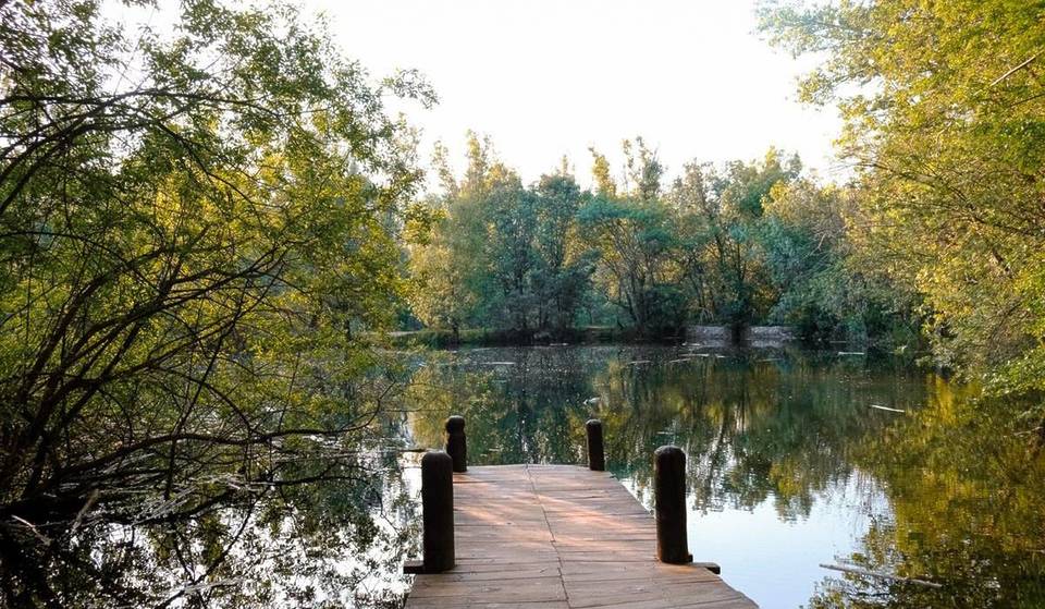 Sembra uscito da un film dello Studio Ghibli: questo bosco con lago e passerelle di legno si trova a un&#8217;ora da Madrid.