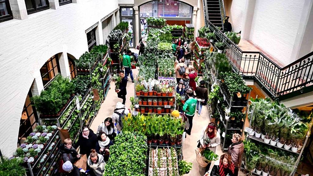 Más de 150 tipos de plantas desde 0,99 €: el evento que convierte un local de Madrid en un vivero low cost