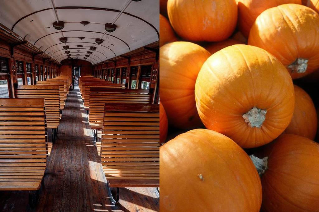 treno delle fragole