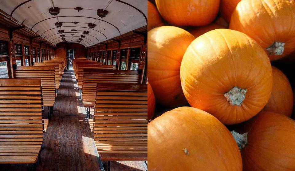 Non è solo un viaggio: è un viaggio autunnale in treno per raccogliere zucche e tornare con le fragole nello zaino (nello stesso giorno).